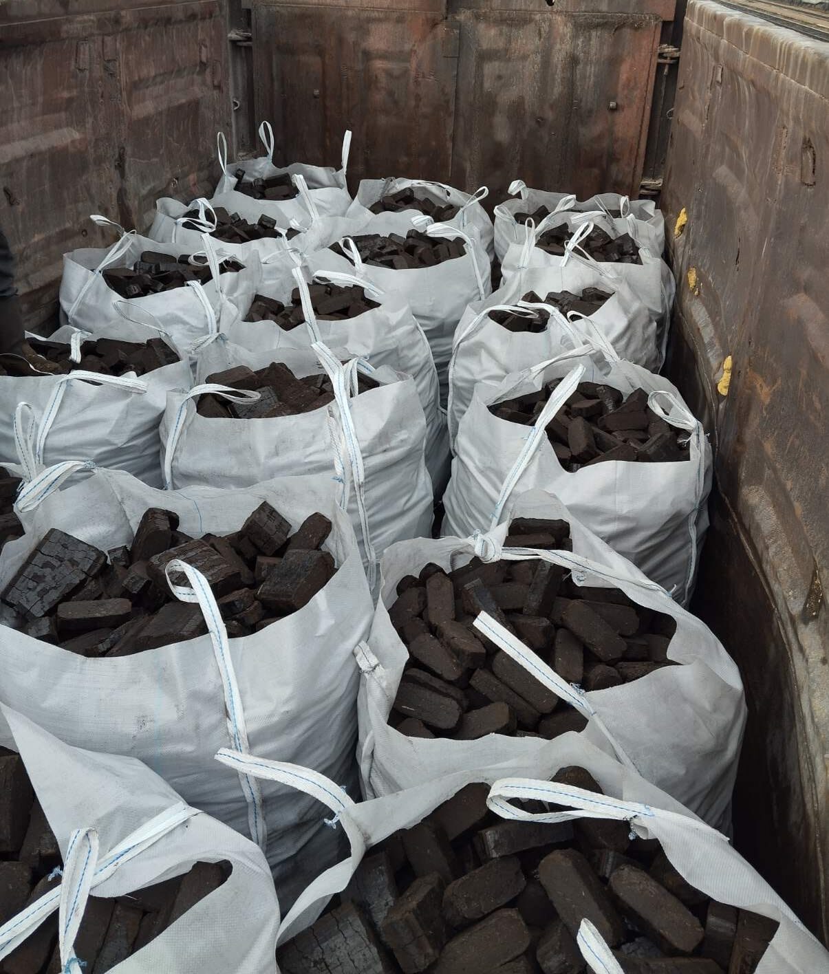 BioBrik в упаковці типу "Біг-Бег"