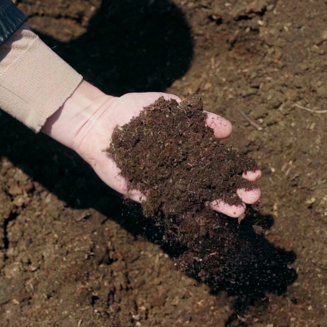 Торф для приготування компостів (с. Стоянів)