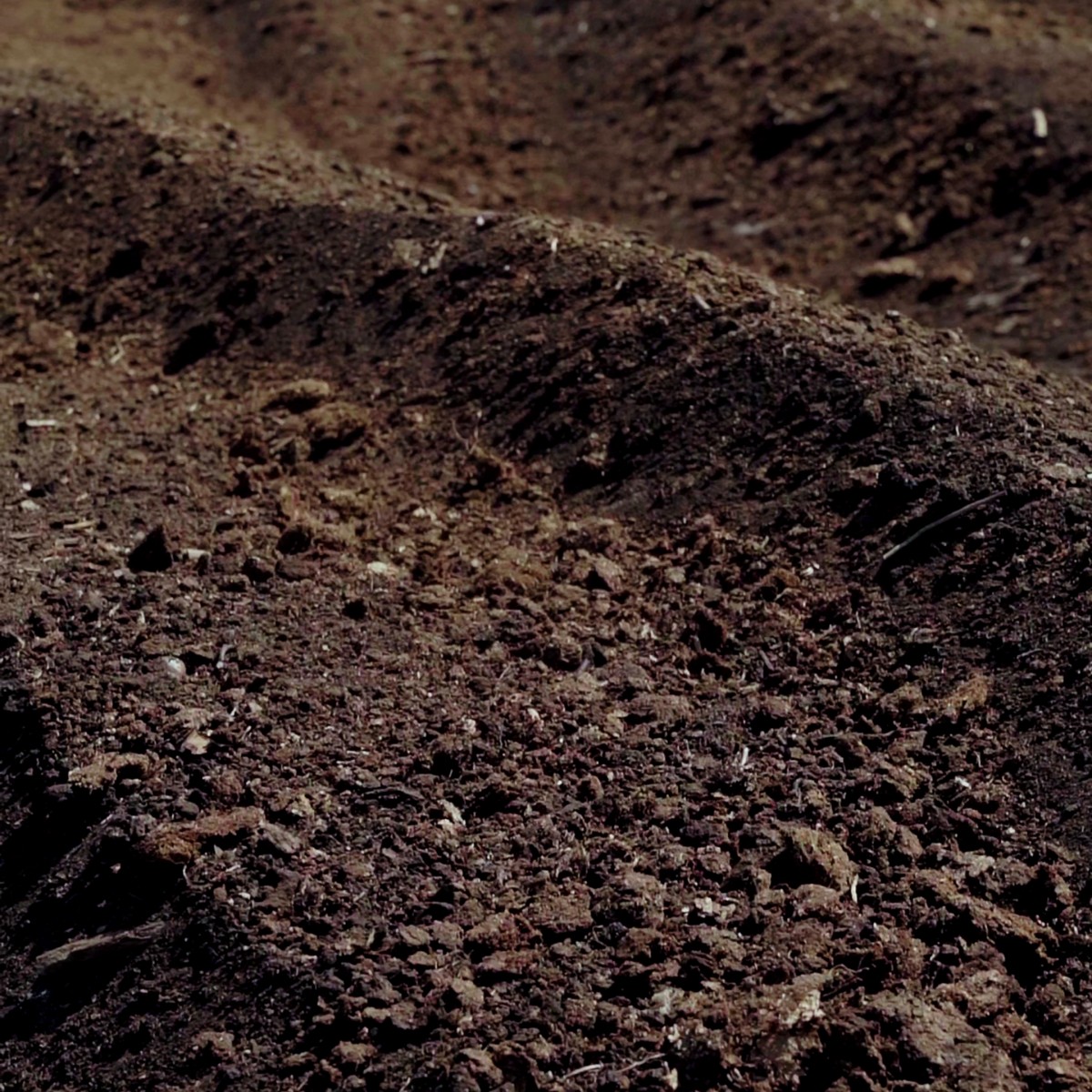 Торф для приготування компостів (с. Прилісне)